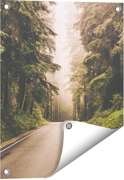 Gards Tuinposter Highway in Californië Omring met Bos - 40x50 cm - Tuindoek - Tuindecoratie - Wanddecoratie buiten - Tuinschilderij