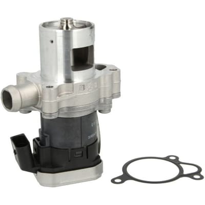 EGR-klep PIERBURG 7.24809.65.0