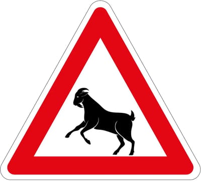 Pas op overstekende geiten sticker | 10 cm