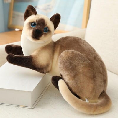 Gevulde Siame katten Pluchen Speelgoed 20/25cm Simulatie Amerikaanse Korthaar Schattige Kat Huisdier Speelgoed Levensechte Woondecoratie Verjaardagscadeau beige