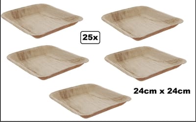 25x Bordje duurzaam palmblad 24x24cm - next generation - diner thema feest palm food