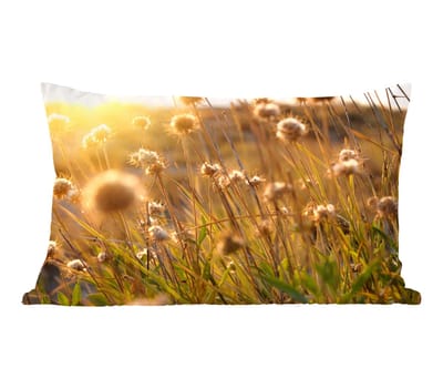 Sierkussens - Kussentjes Woonkamer - 60x40 cm - Planten - Natuur - Bloemen - Zon - Horizon