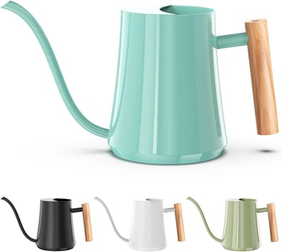 Gieter Kamerplanten - Decoratieve gieter - Planten water geven - Lange tuit - 1000 ml - Mintgroen