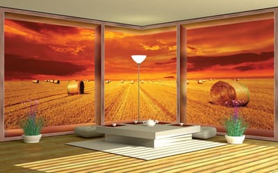 Fotobehang Vlies Natuur | Oranje | GROOT 624x219cm