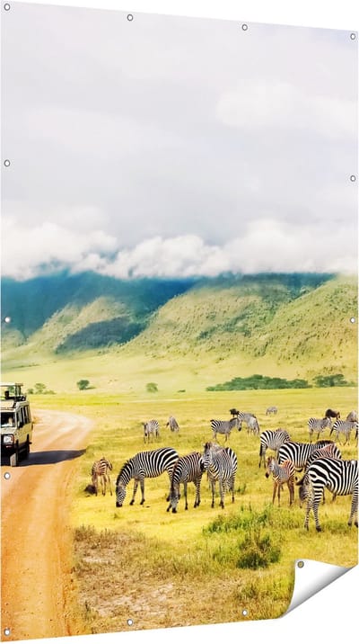 Gards Tuinposter Safari Auto tussen de Zebra's - 120x180 cm - Tuindoek - Tuindecoratie - Wanddecoratie buiten - Tuinschilderij