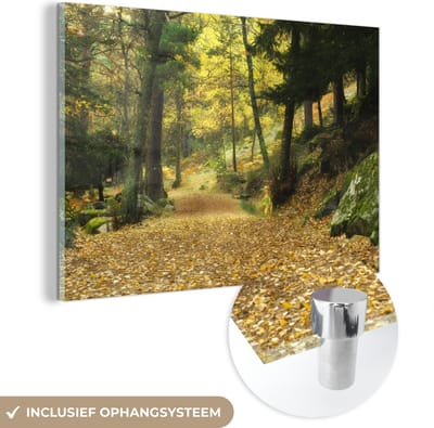 ® Glasschilderij 180x120 cm - Schilderij acrylglas - Herfstbossen in het Nationaal park Sierra de Guadarrama in Spanje - Foto op glas - Muurdecoratie woonkamer - Wanddecoratie slaapkamer - Schilderijen