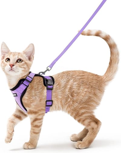 Verstelbaar Kattentuigje met Riem Set Anti-Ontsnapping Reflecterend Ademend voor Kleine Honden