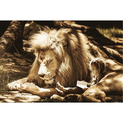 Peinture Diamant Lion Broderie Diamant Dessin Animé Diamant Point de Croix 20X30CM beige
