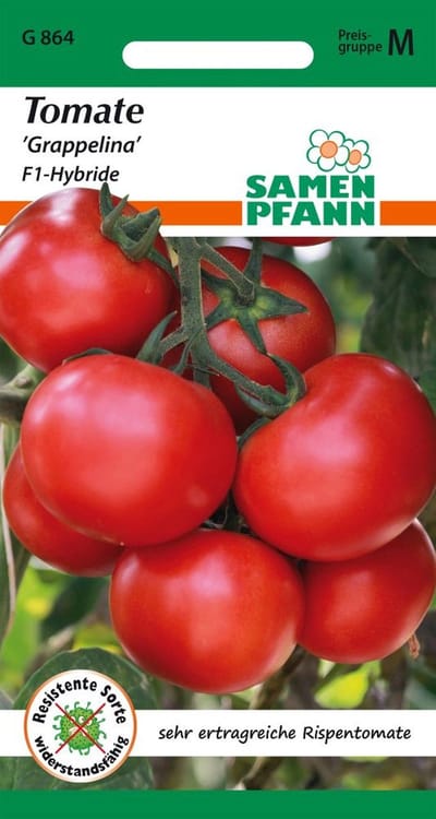 Tomaat, Grappelina F1 (geteelde tomaat) - Groentezaden Tomatenzaden