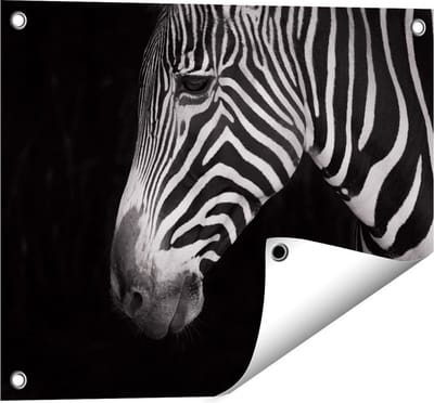 Gards Tuinposter Zebra Kop vanaf de Zijkant - Zwart Wit - 50x40 cm - Tuindoek - Tuindecoratie - Wanddecoratie buiten - Tuinschilderij