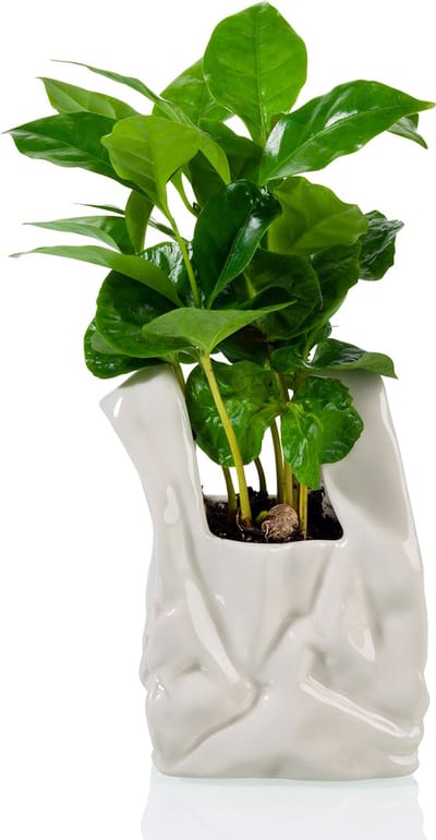 Bitten Not A Plastic Bag Pot - Klein