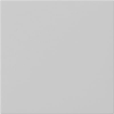 Gira Systeem 55 Intelligent Bedieningselement - 5360015