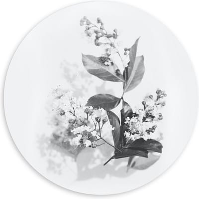 Forex Wandcirkel - Zwart Wit Foto van bloemen  - 120x120cm Foto op Wandcirkel (met ophangsysteem)