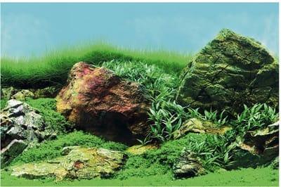Superfish Deco Poster - Aquarium - Ornament - 60x49 cm Aquascape Plant