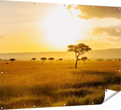 Gards Tuinposter Zonsondergang in de Savanne - 160x120 cm - Tuindoek - Tuindecoratie - Wanddecoratie buiten - Tuinschilderij