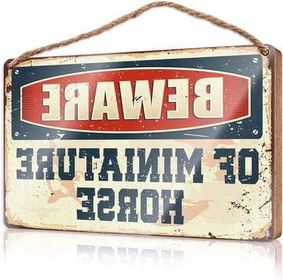 Houten Decoratie Bord - Welkomstbord Deur - Huis Verwelkomen - Stevig Houtmateriaal - 23x35CM - Meerkleurig