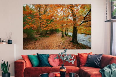 Canvas schilderij 150x100 cm - Wanddecoratie De herfstbossen in het Nationaal park Dartmoor in Engeland - Muurdecoratie woonkamer - Slaapkamer decoratie - Kamer accessoires - Schilderijen
