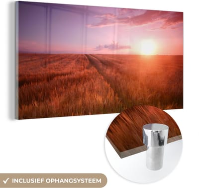 MuchoWow® Glasschilderij 40x20 cm - Schilderij acrylglas - Grasveld - Zon - Avond - Landschap - Foto op glas - Schilderijen