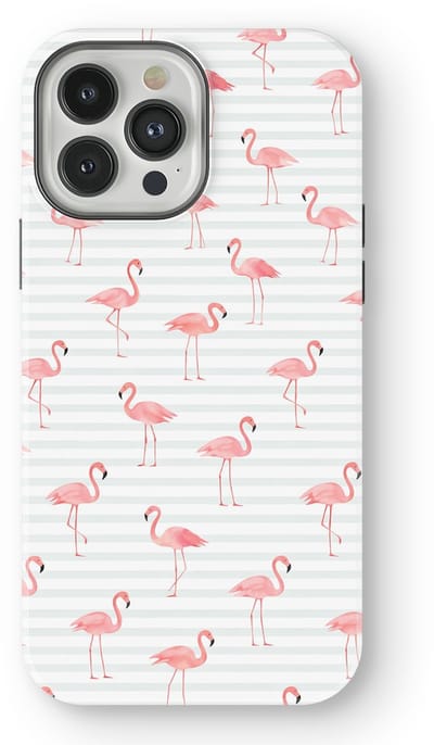 DripCase Hoesje geschikt voor iPhone 13 Pro | Happy Stripes Motief | Magnetisch Opladen | 2-in-1 Ontwerp | Vrolijke Backcover geschikt voor iPhone 13 Pro Flamingo Flush