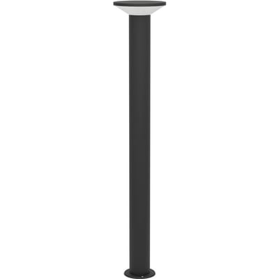 EGLO Rigosa LED tuinpadverlichting, zwart, hoogte 100 cm, metaal