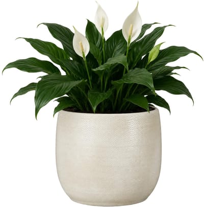 Mica Decorations Plantenpot - keramiek - wit glans / ribbels - D21 x H22 cm - bloempot Porto