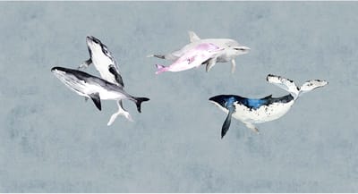 Fotobehang oceansfive1 DD122008 Livingwalls Walls by Patel 3 Blauw Wit Vlies 270 x 500 cm (5 delen) Fotobehang online webshop