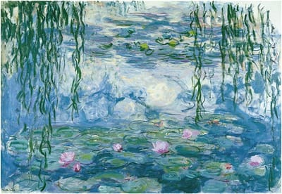 1000 Stuk Puzzel - Legpuzzel Volwassenen - Ontspannend Gezelschapsspel - Precisie Gesneden Stukken - 70 x 50 cm - Vis Kaart