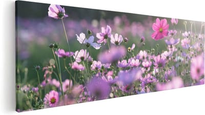 Artaza Canvas Schilderij Cosmea Bloemen - 60x20 cm - Muurdecoratie Bloemenveld - Schilderijen Op Canvas Natuur - Roze