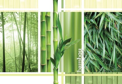 Fotobehang Bamboo Forest Nature | XL - 208cm x 146cm | 130g/m2 Vlies