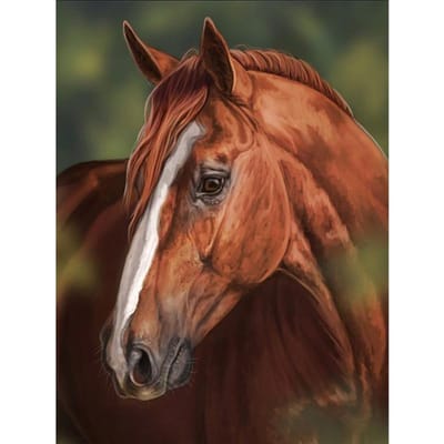 Diamant borduurwerk paard 5D DIY diamant schilderij kruissteek dier mozaïek Home Decor 20X30CM