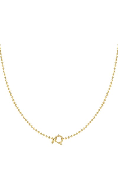 Roestvrijstalen kettingen Geometrisch Casual Dagelijks Eenvoudig Serie Dames sieraden