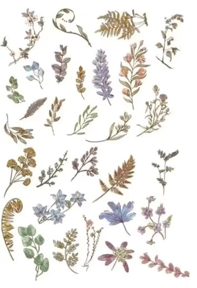 Vintage bladeren en takken stickers - Bladeren - 60 Stickers - Blad Plant Sticker - Bullet Journal - Volwassenen Stickers - Scrapbooking - Agenda Decoratie Sticker Washi Tape - CHPN