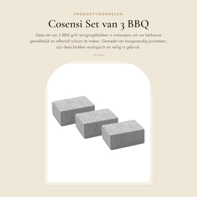 Dailygoods - Set van 3 BBQ Grill Reinigingsblokken voor Efficiënte Schoonmaak
