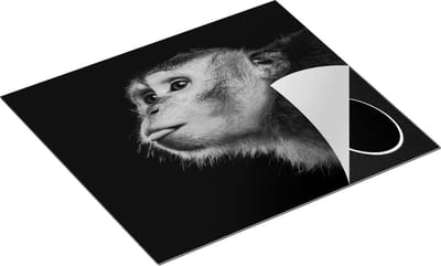 Chefcare Inductie Beschermer Apenkop met Zijn Tong uit - Aap - Zwart Wit - 60x50 cm - Afdekplaat Inductie - Kookplaat Beschermer - Inductie Mat