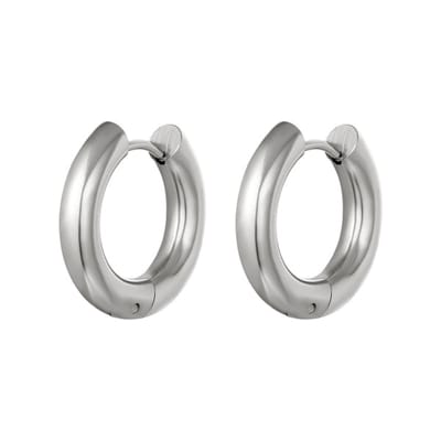 Bijoutheek Oorringen Staal Zilver