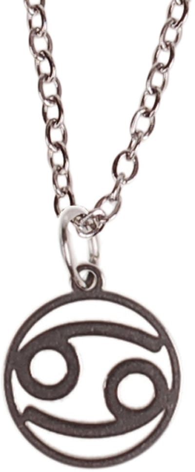 Ketting Zilverkleurig 55cm - Hangertje Sterrenbeeld RVS - Kreeft