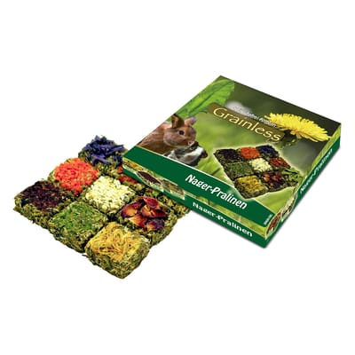Jr Farm Grainless Bonbons - Knaagdiersnack - 13.5x13.5x3 cm 125 g
