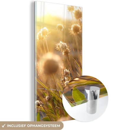 MuchoWow® Glasschilderij 20x40 cm - Schilderij acrylglas - Planten - Natuur - Bloemen - Zon - Horizon - Foto op glas - Schilderijen