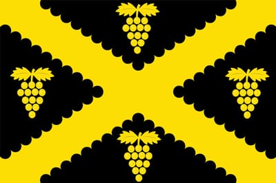 Vlag Wijnegem 150x225cm