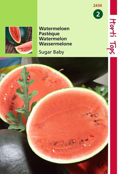 2 stuks Hortitops Watermeloenen Sugar Baby