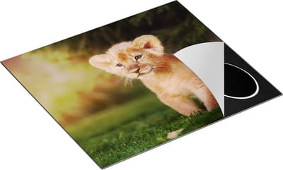 Chefcare Inductie Beschermer Schattige Leeuwen Welp - Baby Leeuw - 60x50 cm - Afdekplaat Inductie - Kookplaat Beschermer - Inductie Mat