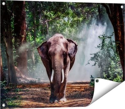 Gards Tuinposter Olifant in het Bos - 80x60 cm - Tuindoek - Tuindecoratie - Wanddecoratie buiten - Tuinschilderij