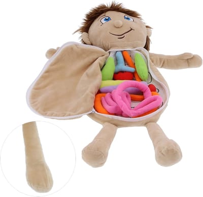 Anatomie Pop - Leren Lichaam - Educatief Spelen - Zachte Pluche Organen - 46 cm Hoog