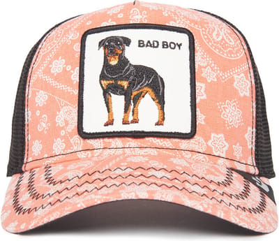 Goorin Bros. Lovesexy Trucker cap - Pink