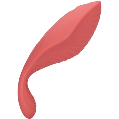 Panty Vibrator met Afstandsbediening