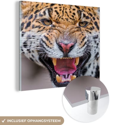 MuchoWow® Glasschilderij 50x50 cm - Schilderij acrylglas - Jaguar - Macro - Dier - Foto op glas - Schilderijen