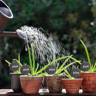 Set van 10 weerbestendige plantenplaten van leisteen met 10 roestvrijstalen stokken en 2 krijtjes voor het labelen van kruiden en planten in de tuin