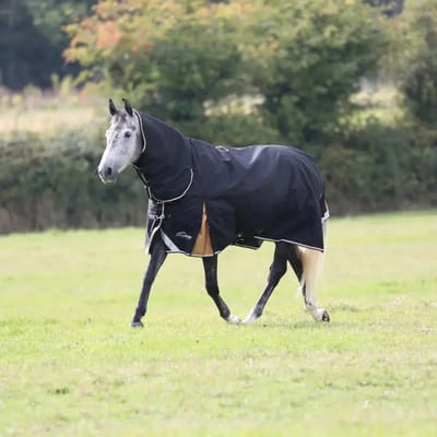 Outdoor paardendeken Highlander Plus Combo 200g