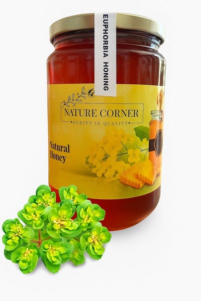 Euphorbiahoning | Euphorbia Honey | Miel d’Euphorbe | عسل الجيجان (Djidjan) – 100% Puur & Natuurlijk | Rauw & Onverhit | 1000g