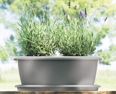Prosperplast Universa Onderzetter Antraciet 36,6 cm